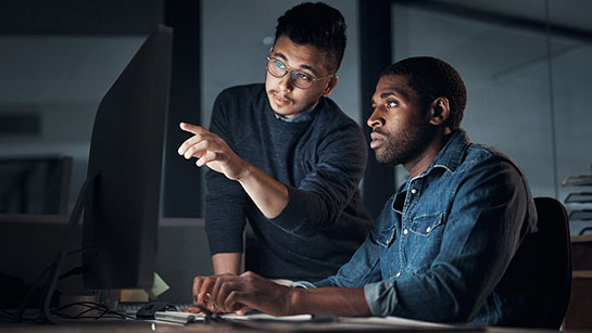 Two cow-orkers using monitor